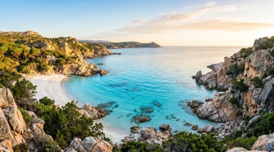 Une crique corse aux eaux turquoise bordée de formations rocheuses de granit rose sous une lumière matinale éclatante